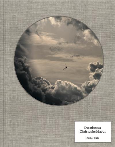 Christophe Maout: On Birds (Des oiseaux) cover