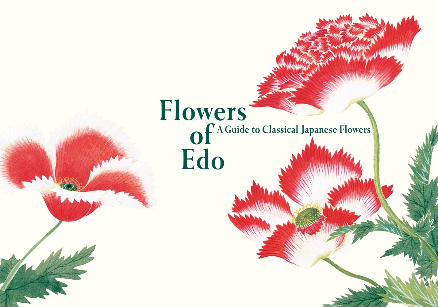 Flowers of Edo: a Guide to Classical Japanese Flowers (English-Japanese bilingual) cover